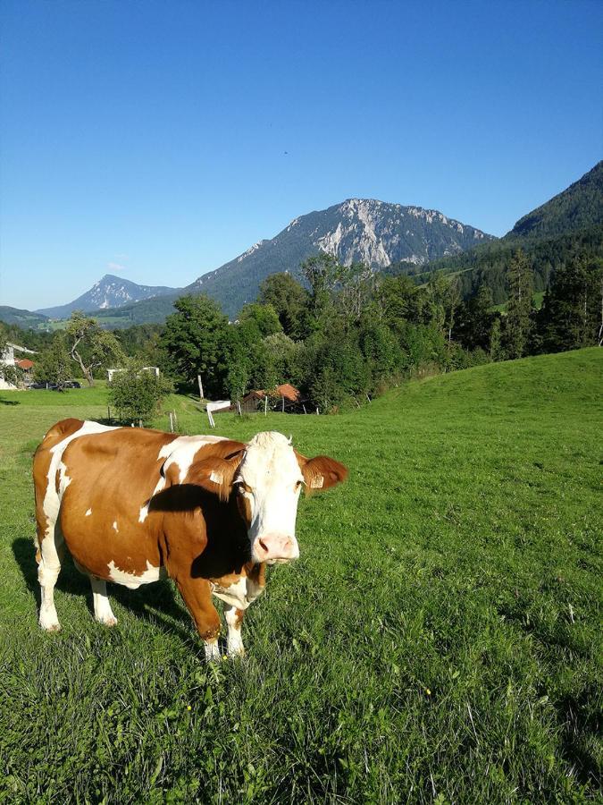 Almbauernhof Apartment Ruhpolding Bagian luar foto